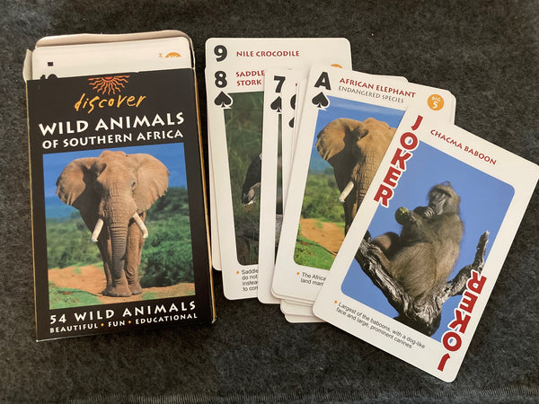 Jumbo Cards with Wild Animal Theme