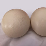 Two Ostrich Eggs