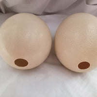 Two Ostrich Eggs