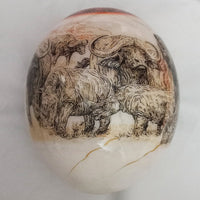 Ostrich Egg - Big 5 Illustration