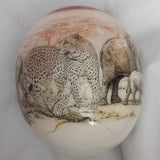 Ostrich Egg - Big 5 Illustration