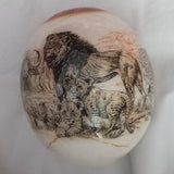 Ostrich Egg - Big 5 Illustration