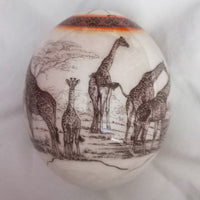 Ostrich Egg - Giraffes Illustration