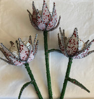 Set of 3 Small Beaded Proteas