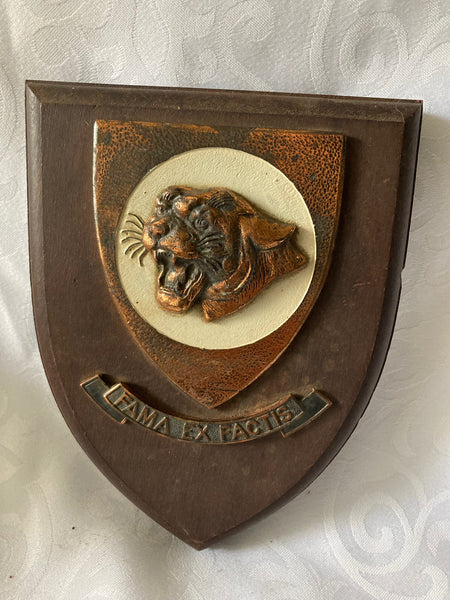 'Fame from Deeds' 19th Squadron SA Air Force Shield